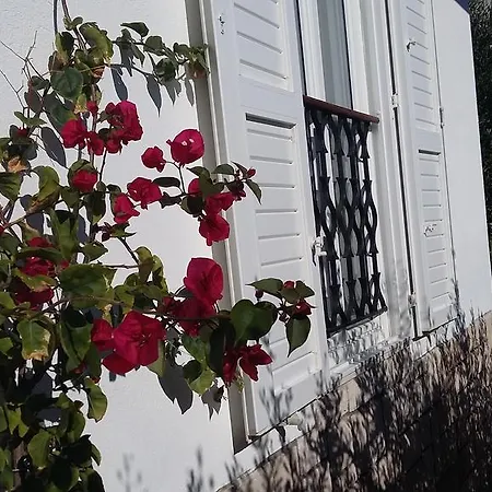 Appartement Antoana