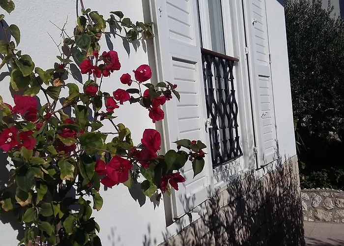 Apartment Antoana