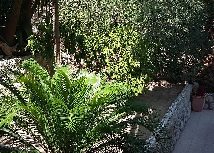 Antoana *