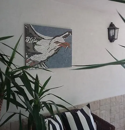 Antoana Daire Hvar Town