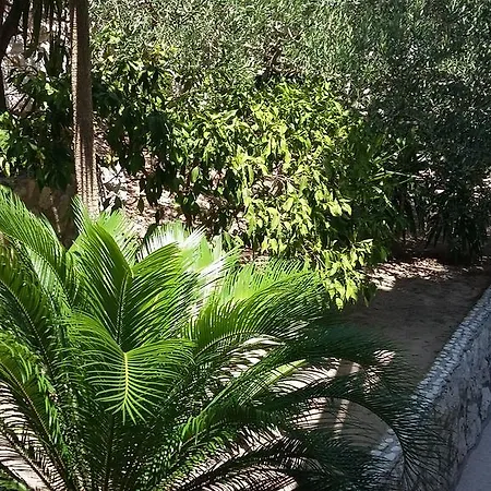 Antoana *