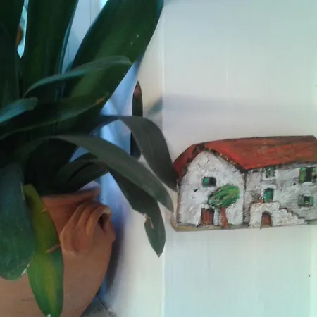Apartment Antoana Hvar Town