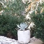 Antoana هفار