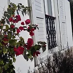 شقة Antoana