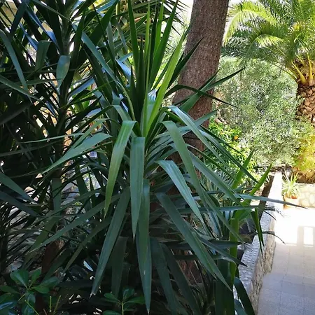 דירה Antoana חוואר