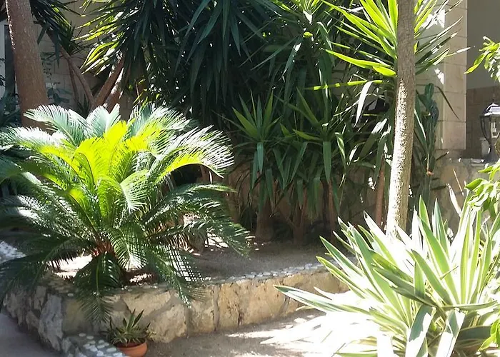 Antoana חוואר